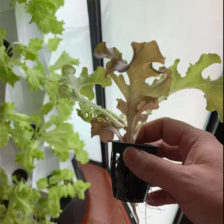 Modulares Hydroponik-Wachstums – Urban Farming Hydroponics Bewertung und Preis