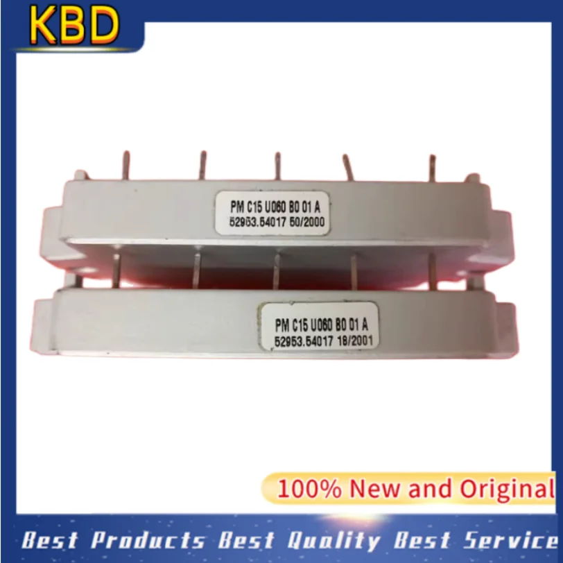 

100% новый и оригинальный модуль питания PMC15U060 PMC15U060B PMC15U060B001A PMC20U060B001A