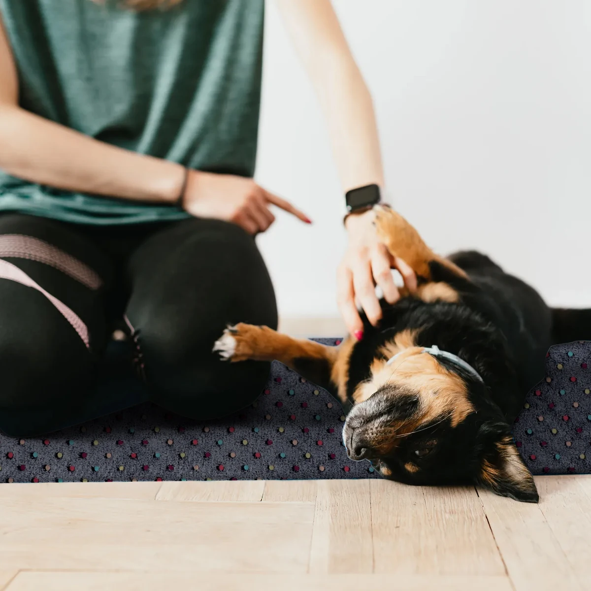 

Pet Cat Dog Blanket Coral Wool Warm Soft Bed Cover Sleep Mat Suitable for Crate Kennel Car Travel Winter Pets Rest