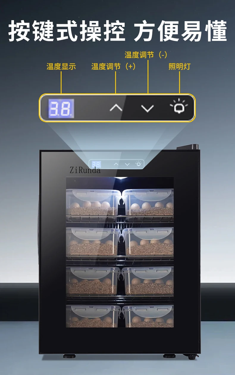Schildkröten-Eierzucht-Inkubator, Raupen-Haustier-Inkubator, Raupen-Ei-Inkubator mit konstanter Temperatur