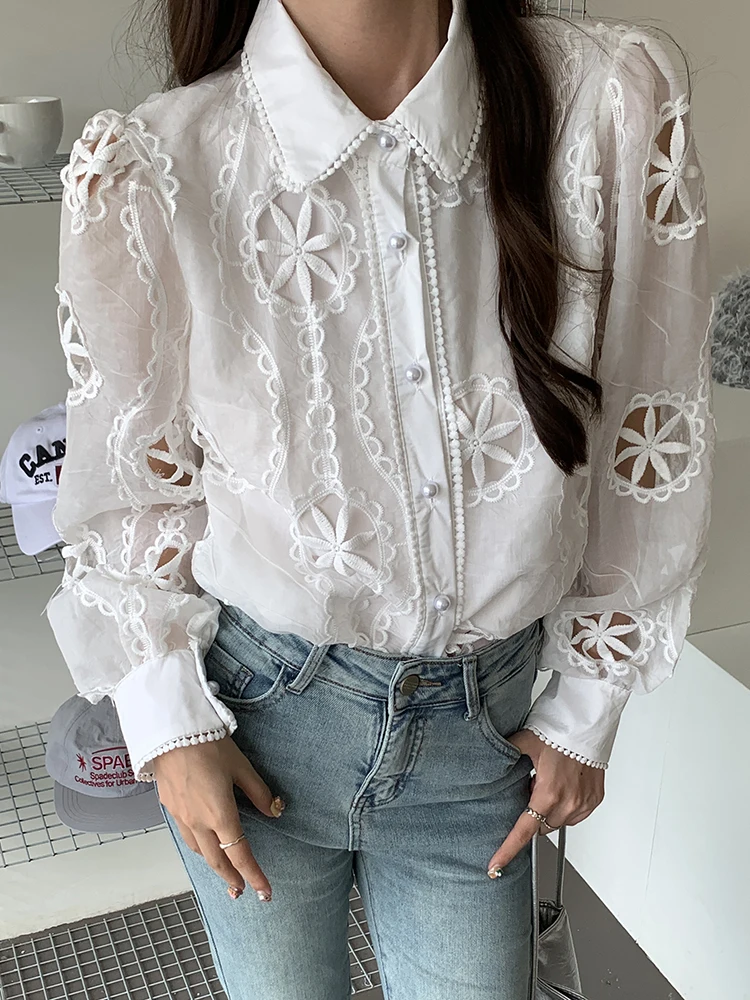 

QOERLIN Palace Luxury Embroidered Floral Hollow Out White Shirts Women 2024 New Spring Autumn Lantern Sleeve Elegant Blouse