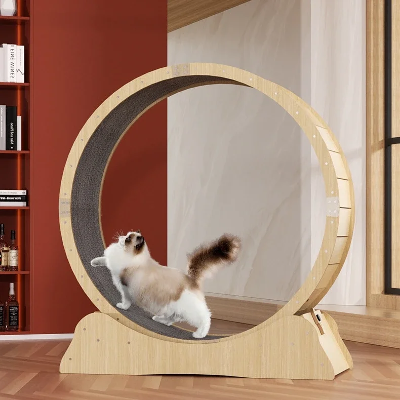 Cat exercise wheel sale hotsell