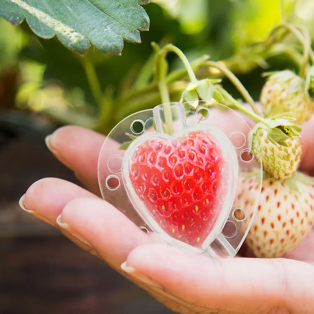 

Heart Shape Cherry Tomato Mold Reusable Plastic Fruit Shaping Tool Gardening Supplies Growth Mold for Tomatoes Strawberries