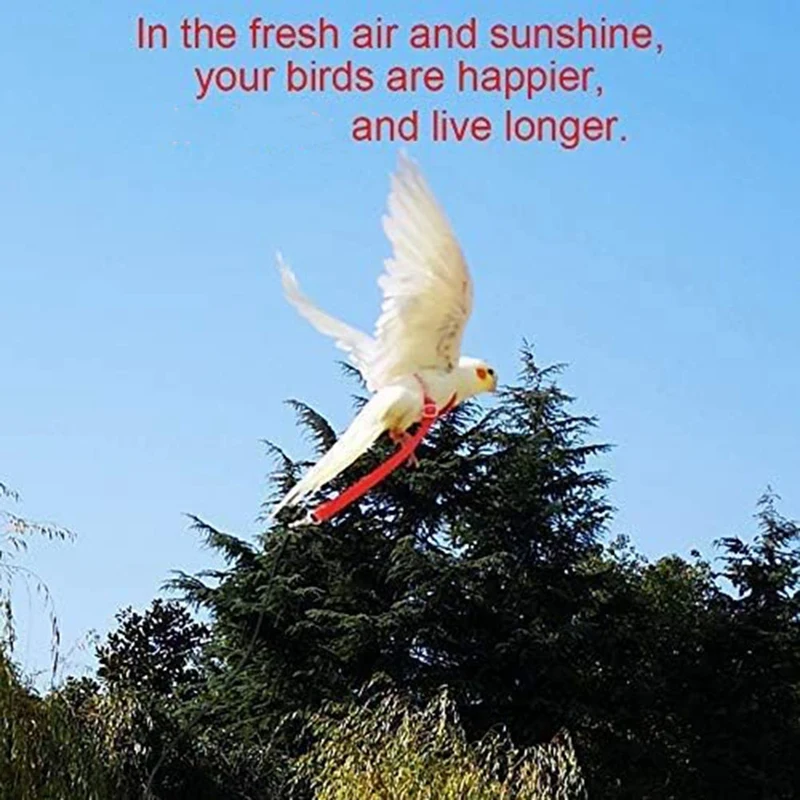 Kit corda treinamento voo ao ar livre para pássaro e papagaio, trela arnês, tração Strap, papagaio