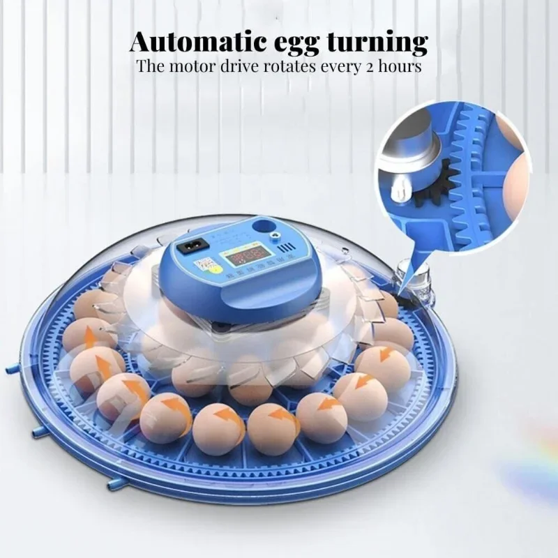 

For Egg Turning Chicken Duck Quail Birds Brooder Incubation Machine EU/US/AU Plug 30 Eggs Incubator Automatic Egg Incubator