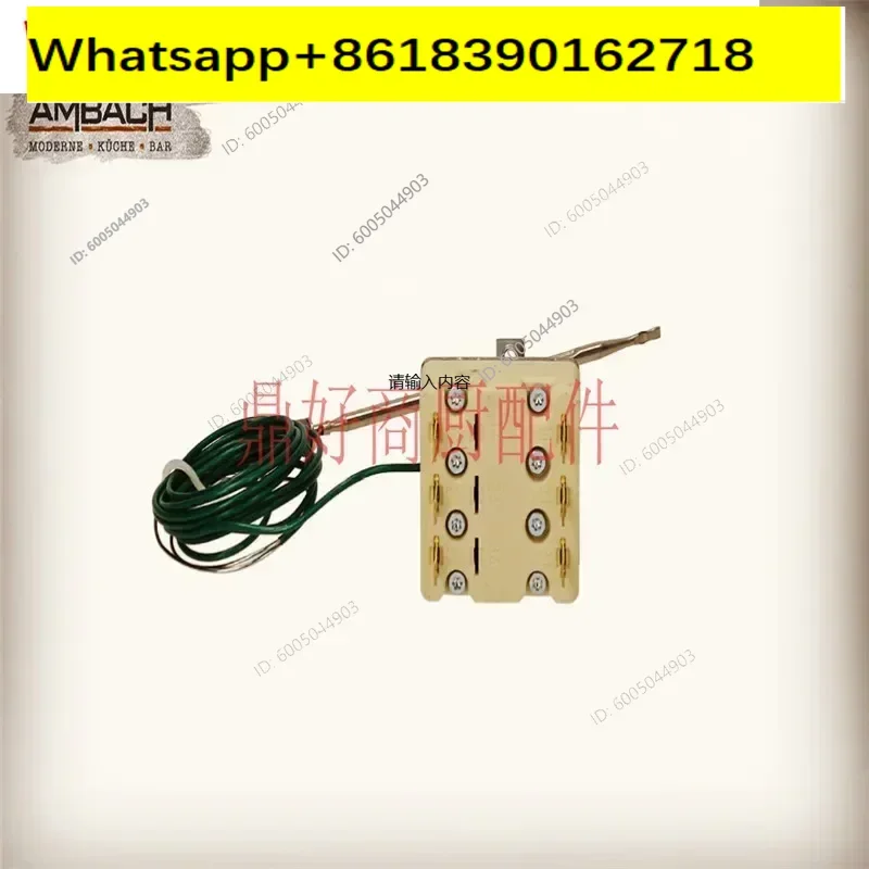 Original imported 55.32545.802 over temperature protector Ambach explosion furnace safety temperature control 235 ℃