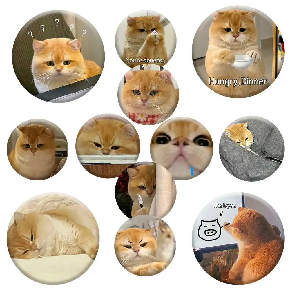 

58mm Funny Cat Button Pins Cute Cartoon Jewelry Badge Custom Round Brooch on Bag Shirt Hat Decor Accessories Toys Gifts for Frie