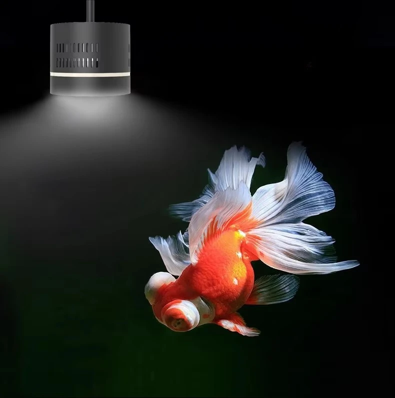 Front and Rear Adjustment Aquarium Goldfish Algae Explosion LED Thickened Bracket Downlight Can Be Adjusted Regularly