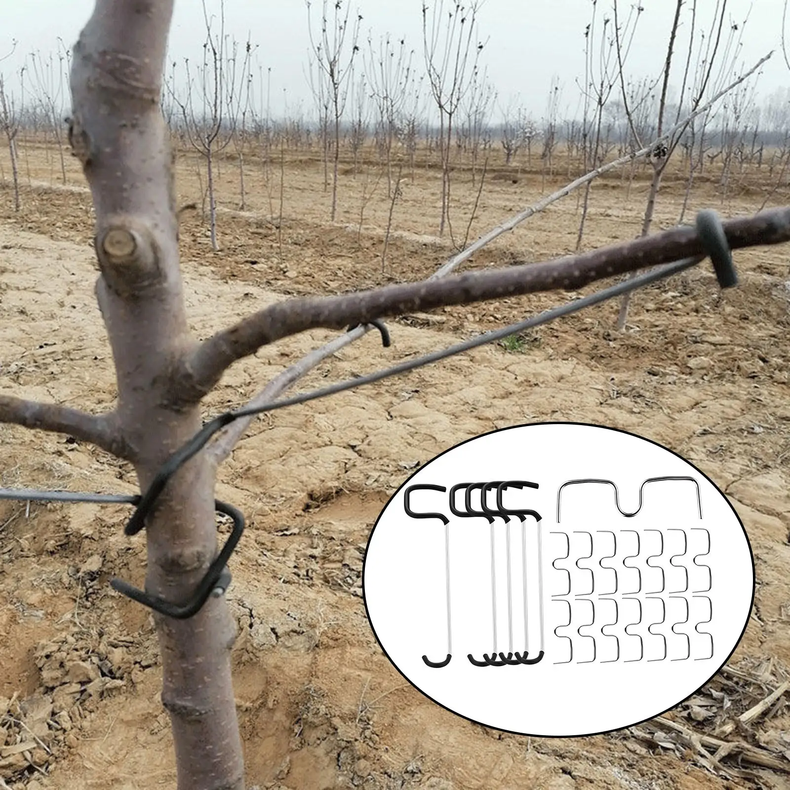 20 Pieces Fruit Tree Limb Spreaders Tying Machine Branch Puller for Adjusting Angles