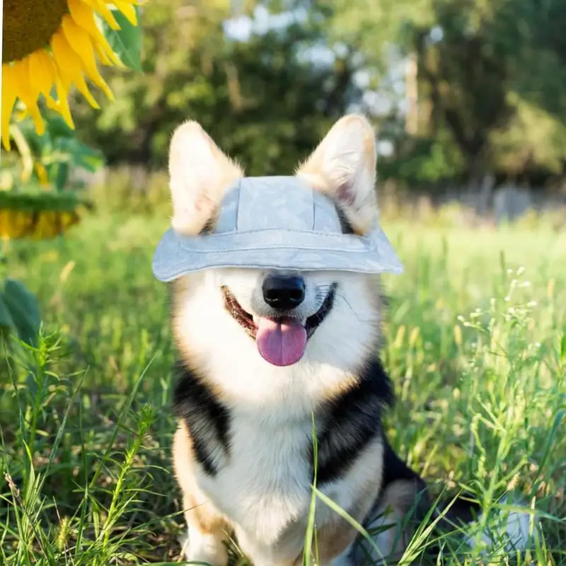 Dog Baseball Caps Sun Protection Cat Caps Sun Protection Cat Sunbonnet Adjustable Drawstring Pet Accessories For Puppy Small