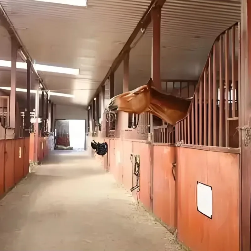 Customization Stables Horses for Sale , Stables of Horse Stables , Stable Horse Horse Accessories