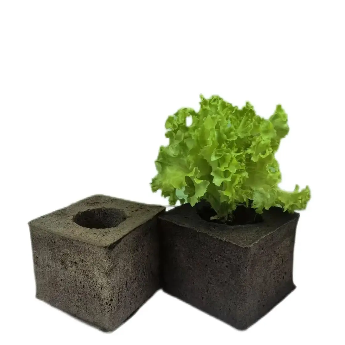 Carbon Cotton Flower Pot 2-in-1 |   General Purpose for Home Hydroponics/Soill-Free Cultivation |   High Water Retention, Root Rot Prevention and Easy Care |   Mildew-Proof and Sterile