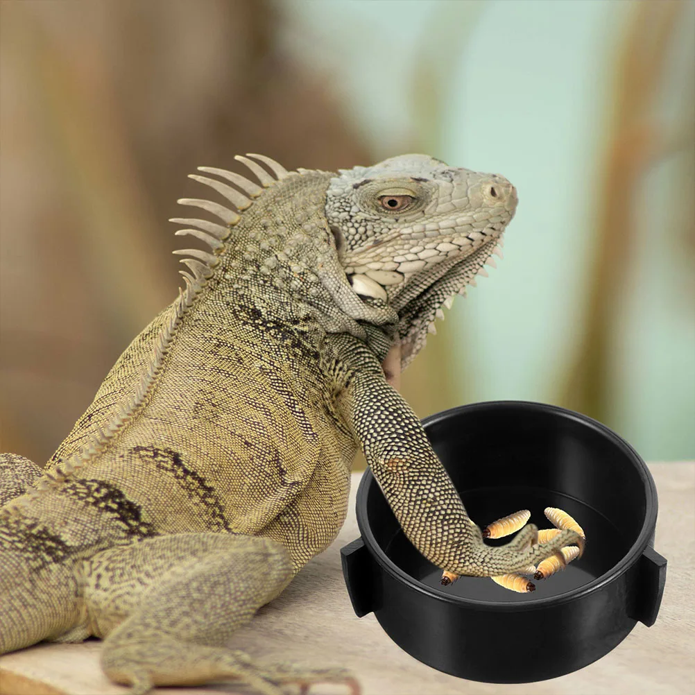 

4pcs Food Bowl Ceramic Dishes Terrarium Wear Resistant Easy Clean Pet Reptile Dish Supplies Lizard Water Dish