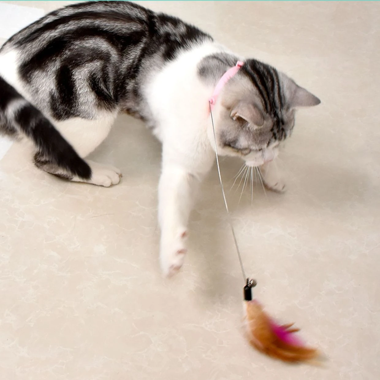 

Cat Toy Interactive Feather Sounding Bell Cat Boredom Toy Cat Collar Interactive Cat Toy Collar Cat Teaser Pet Products