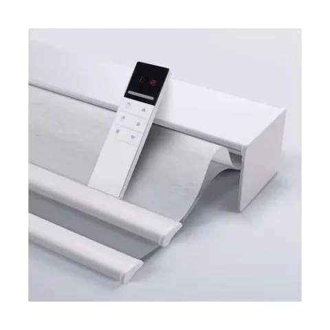 2025 New Design Day And Night Battery Motor Smart Home Control By Tuya Apple Homekit  Dual Layers  Roller Blinds For Livingroom