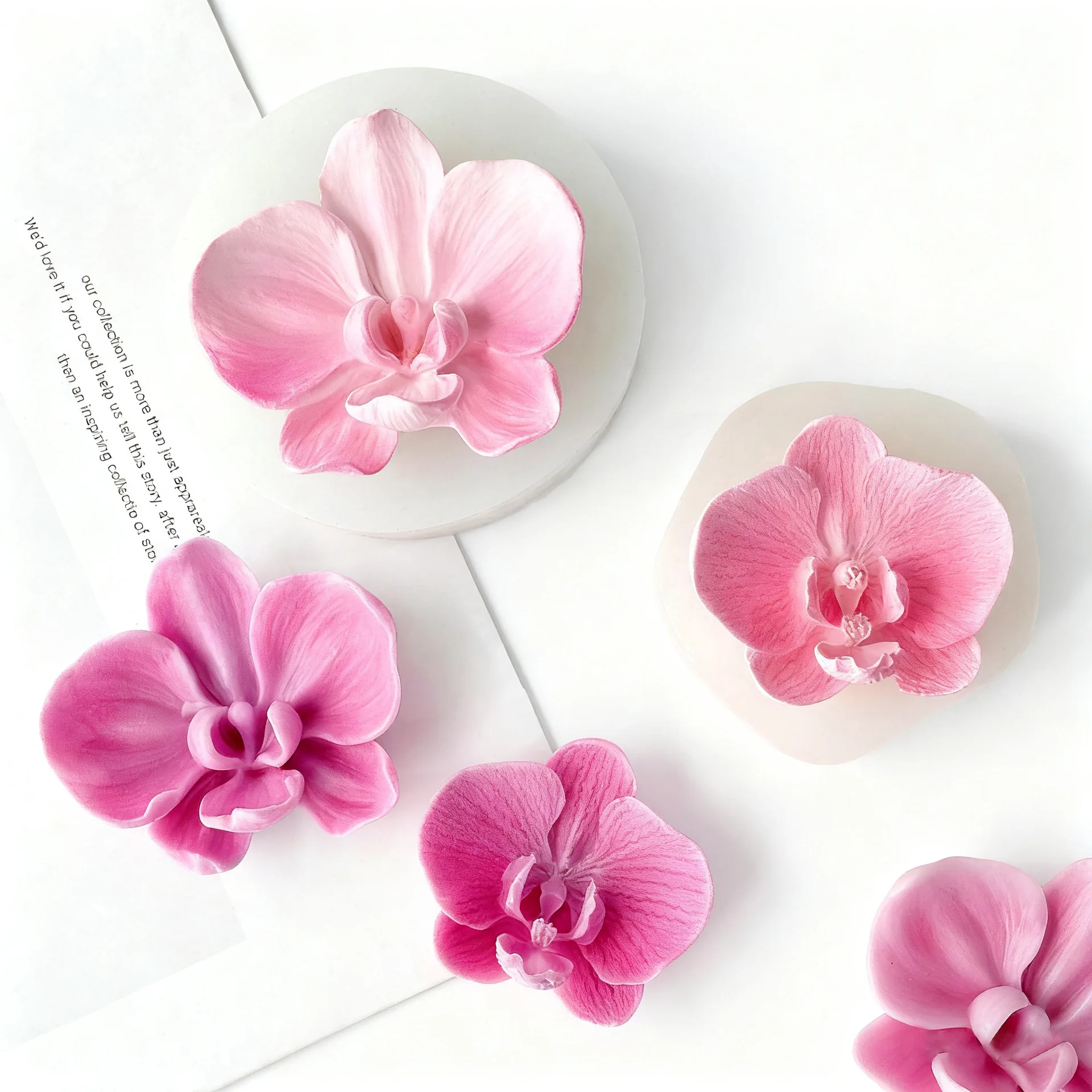 DIY Phalaenopsis Orchid Flower - Soap Making Scents ulasan dan harga