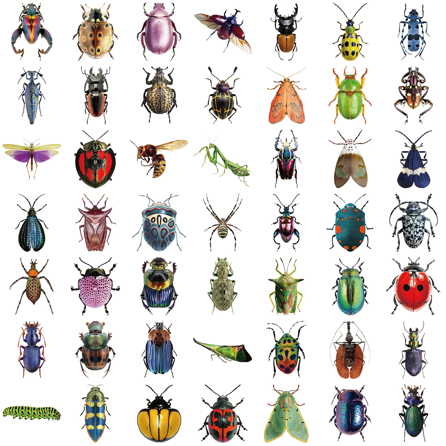 50 Uds pegatinas de insectos colores vibrantes sin residuos para portátil botella de agua accesorios de coche motocicleta pegatinas de botellas de agua