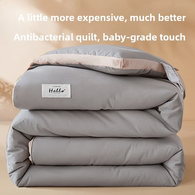 Thick Warm Winter Space Quilt Air Conditioned Single Size All Seasons Winter Quilt Thickened To Keep Warm Winter Thick Quilt