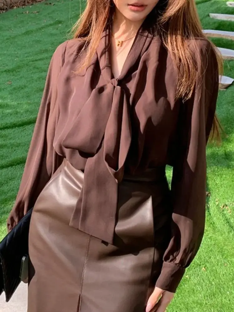 Damen Vintage-Chiffon-Bluse, lässiges Arbeitsoberteil, elegantes, lockeres Chiffon-Business-Hemd mit Schleife