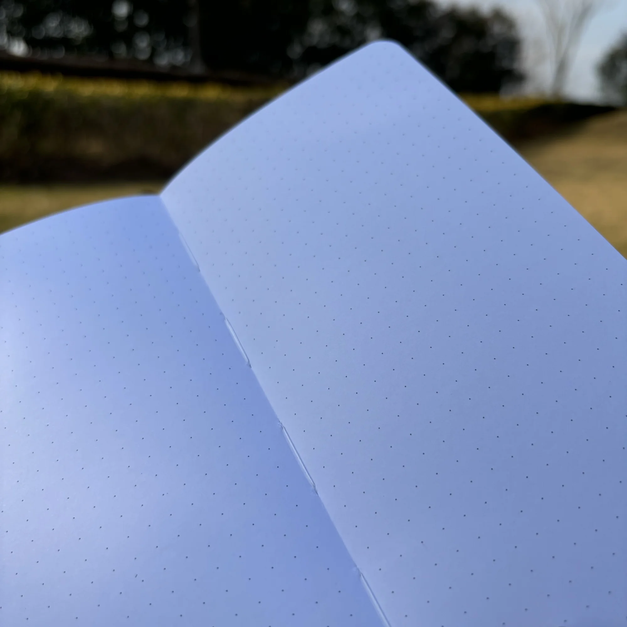 BUKE Bujo B6 Dotted Journal Dot Grid-Notizbuch, Taschenformat und 180 g/m2 Bambuspapier, 80 Seiten mit Schmetterling und Blüte – Detail 4