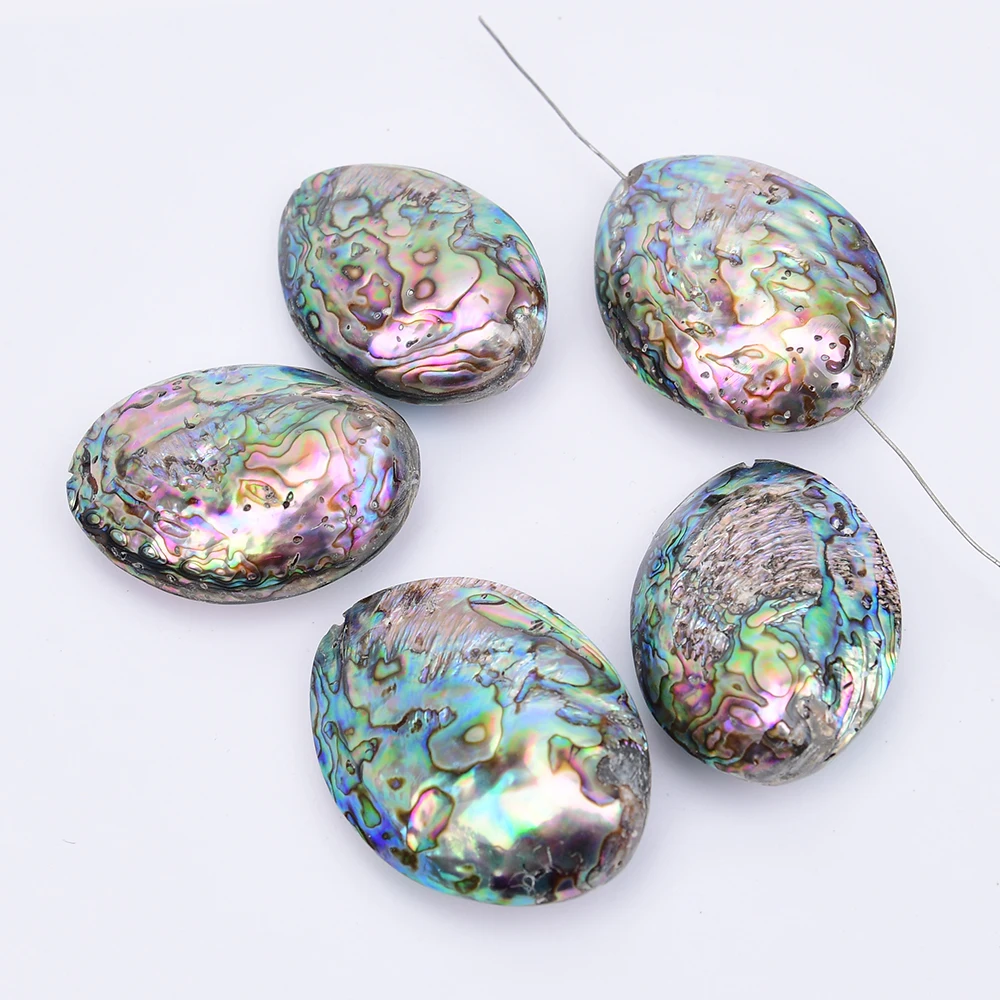 APDGG 5 Pcs Large Natural Rainbow Color Abalone Shell Pendant Beads Jewelry DIY