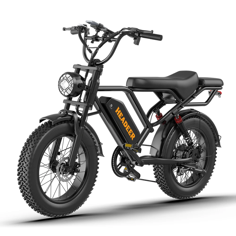 Volwassen【Elektrische fiets】20 inch banden, elektrische fiets voor alle terreinen, 4 schokdempers, kleuren LCD-display, elektrische fiets 750W48V20AH, geschikt voor alle terreinen