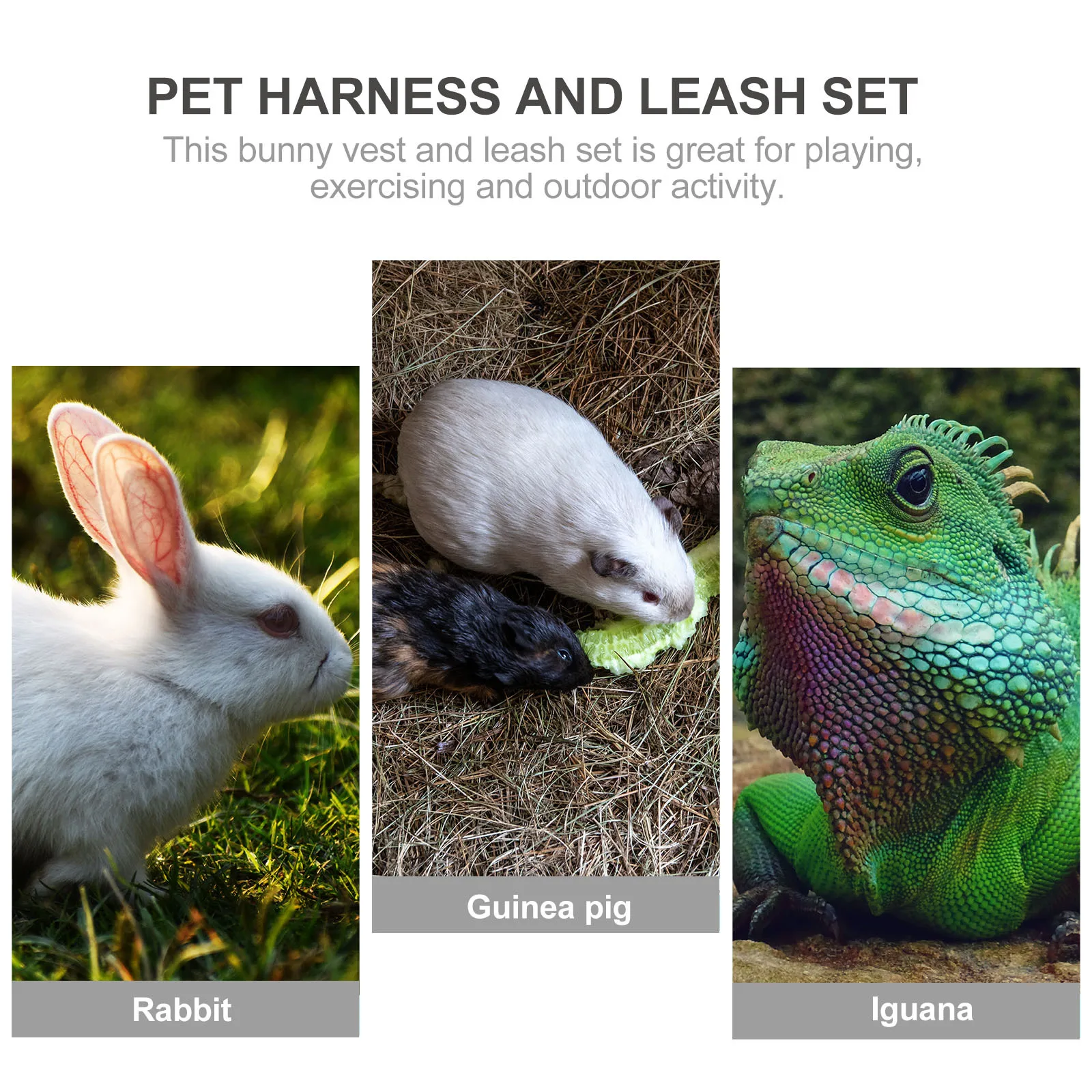 

1 set Small Pet Harness Set L Size Premium Cloth Even Pressure Rabbit Guinea Pig Walking Leash Portable Traction Rope