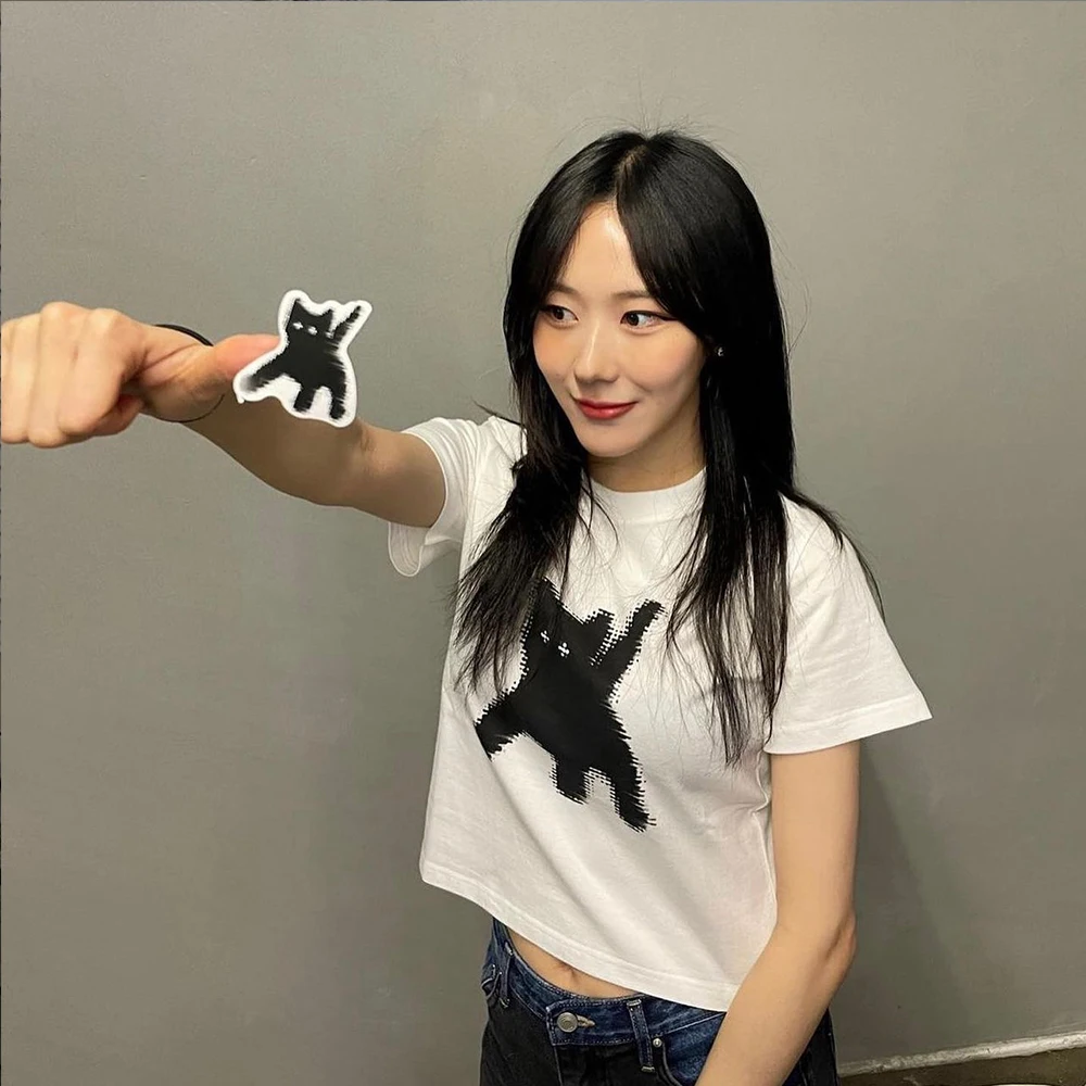 تيشيرتات نسائية كاجوال ، توبات نسائية ، موضة كورية ، بلوزة كاواي ، ملابس شوارع هاراجوكو ، حيوانات أليفة ، كلاب ، قطط ، ملابس نسائية ، Y2K