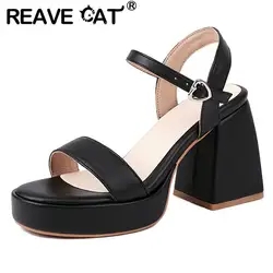 REAVE CAT Women Sandals Open Toe Chunky Heels 9cm Platform 2.5cm Buckle Strap 43 44 45 46 Sweet Elegant Dating Shoes