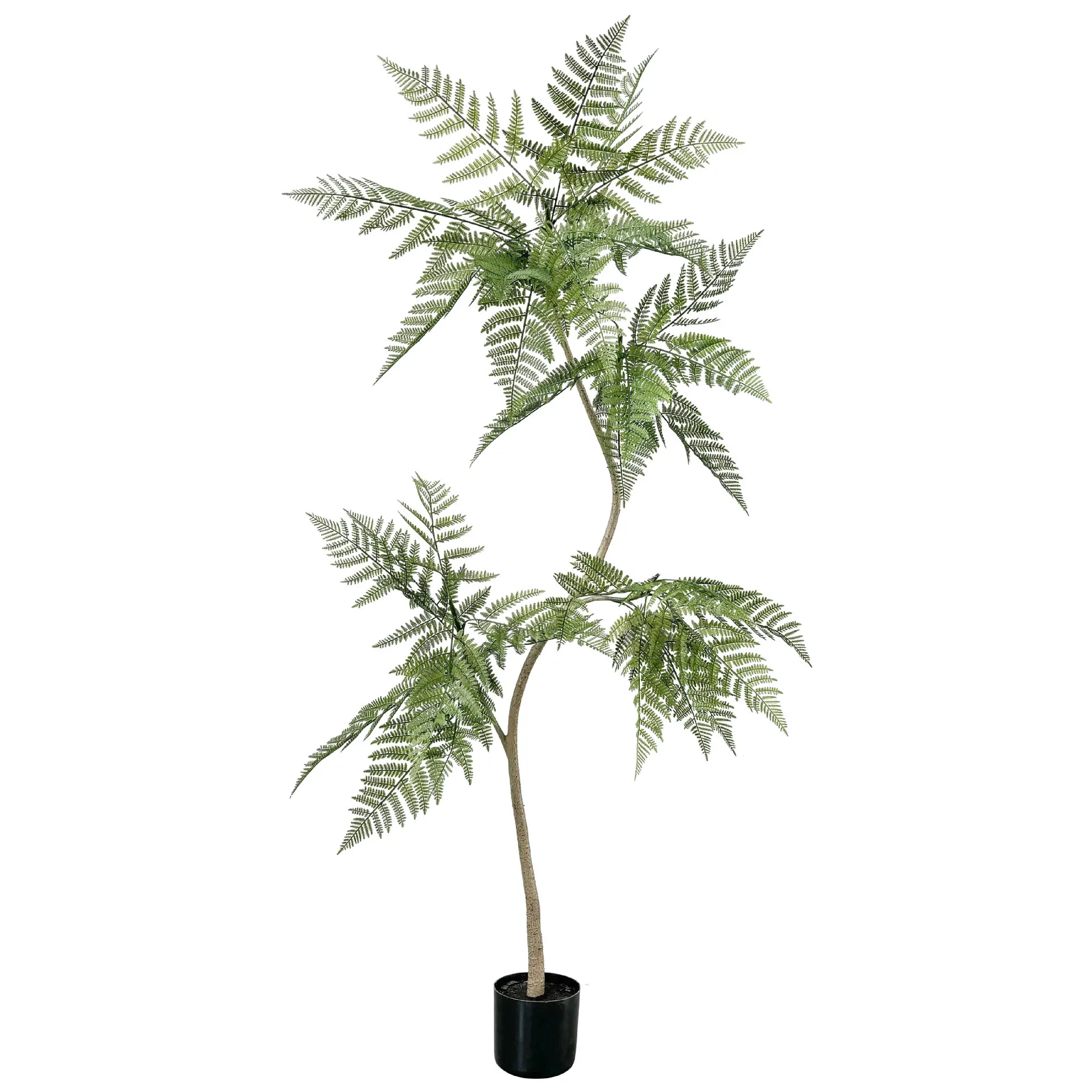 

Jacaranda potted living room high quality porch art landscaping leaf office shopping mall fixed tree