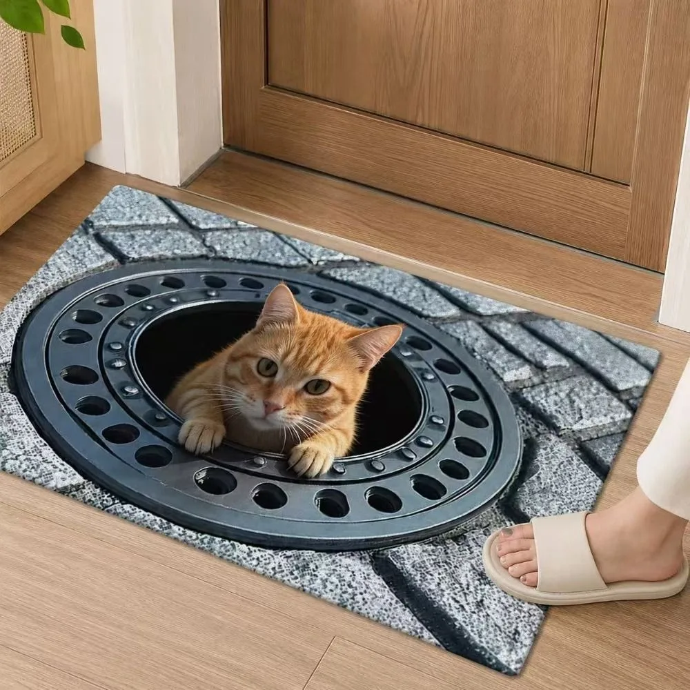 2D Flat Optical Illusion Doormat Non-slip Abrasion-resistant Bathroom Carpet Water-absorbing Diatomaceous Earth Bedroom Door Rug