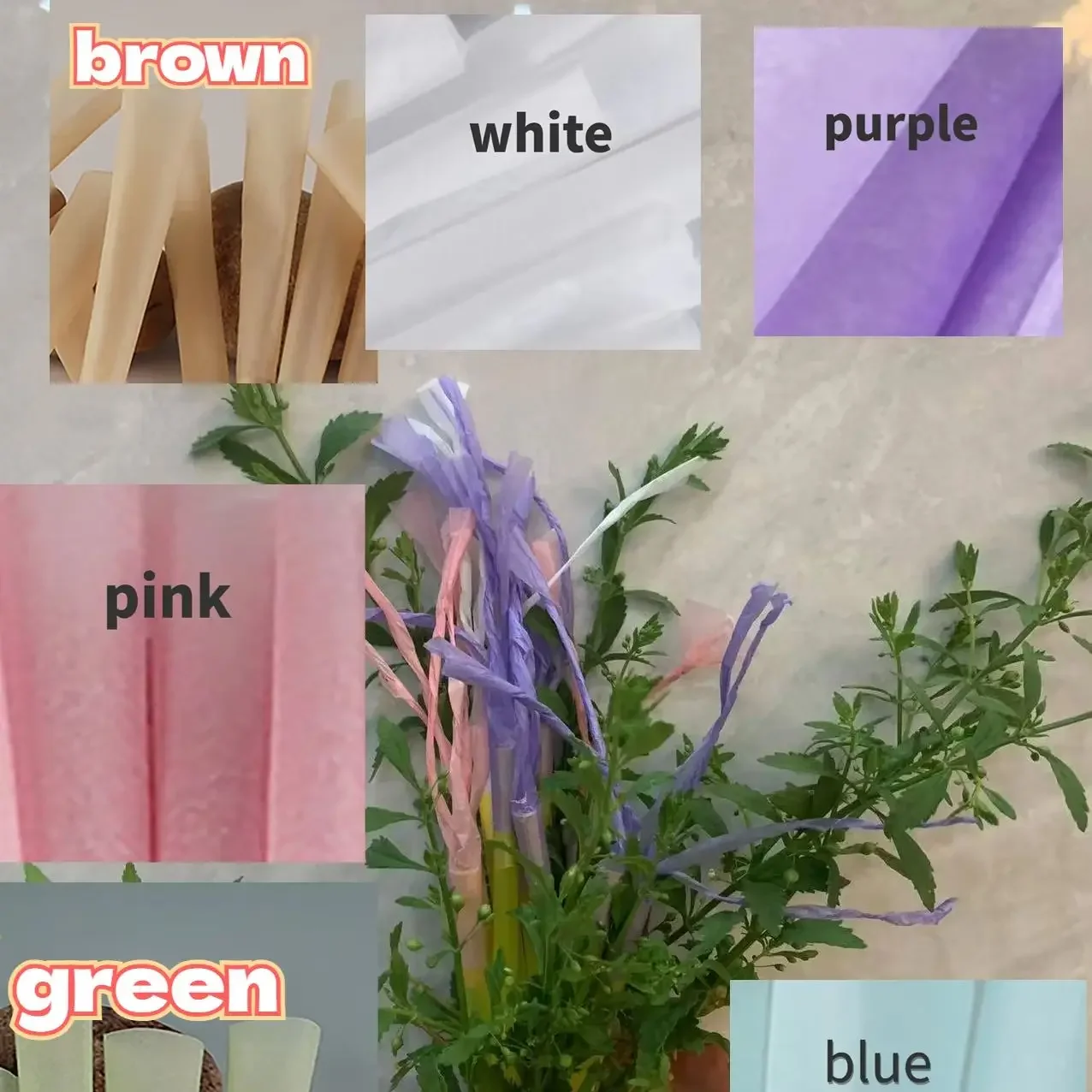 Creative Pre-Rolled Paper Packaging Paper Filter Cardstock Booklet Paper Natural Pack of 50pcs