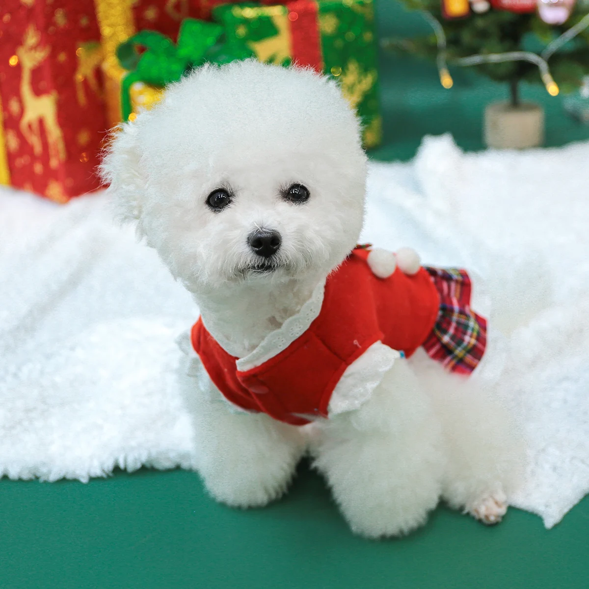 1PC Pet Clothing Cat Autumn/Winter Christmas Gingerbread Man Red Checkered Skirt Suitable for Small and Medium sized Dogs