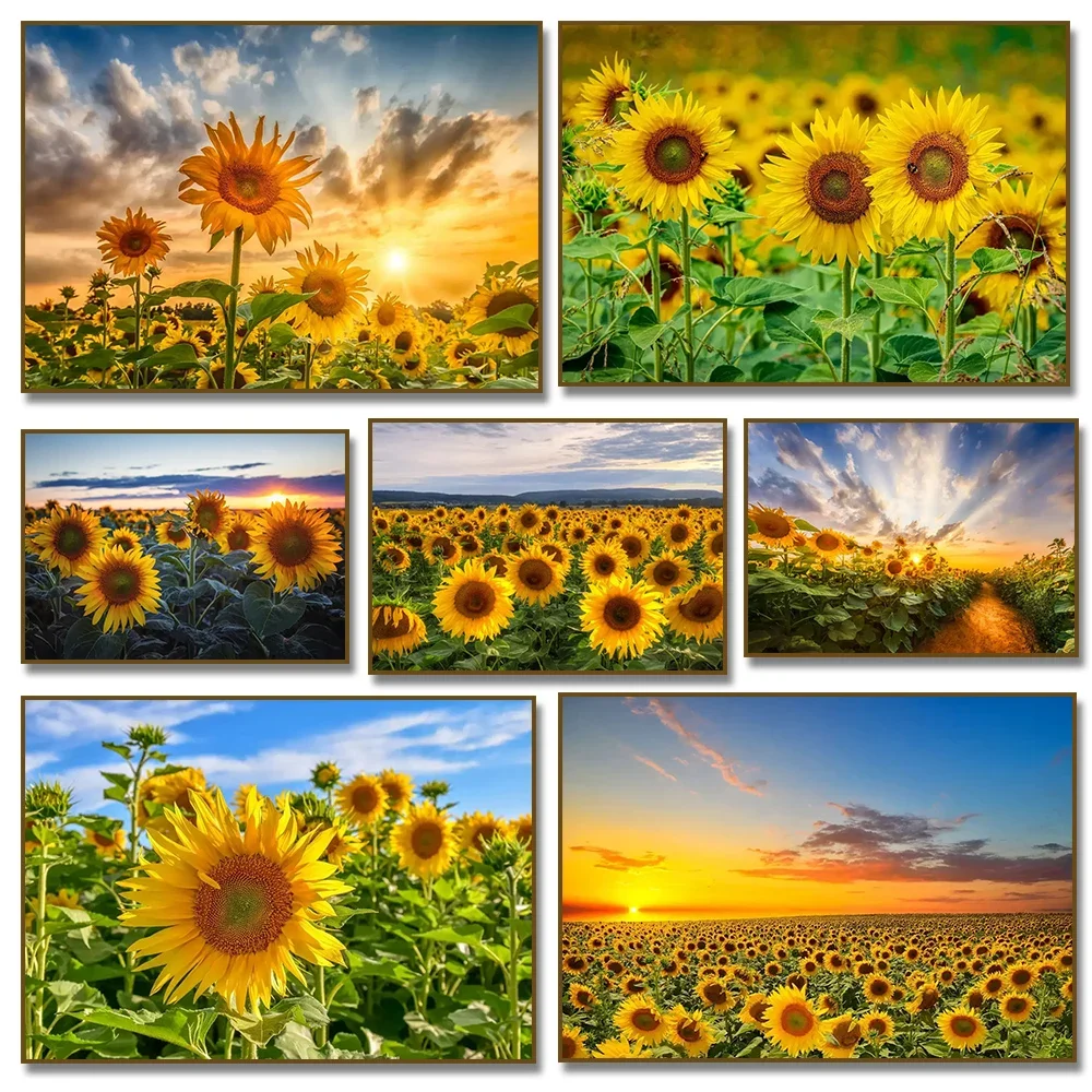 Sunflower Field At Sunset Sunshine Landscape Art Posters Canvas Painting Wall Prints Pictures for Living Room Home Decor Cuad
