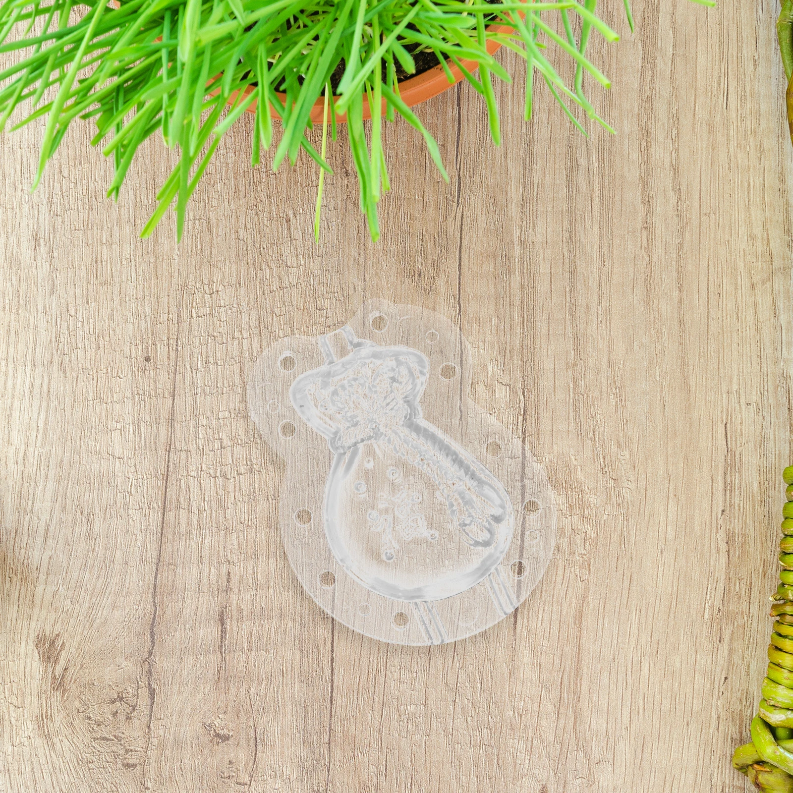 

Growth for Gourds Unique Shapes Versatile Reusable Mini Transparent Fruit Shaping Mold Gardening Accessories Small Shaper Molds