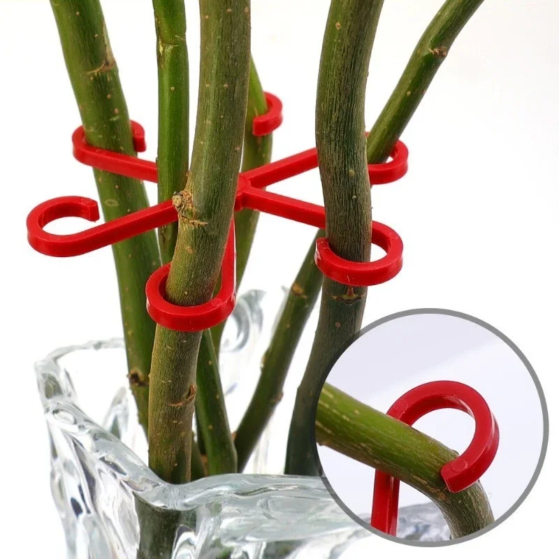 

Flower Plant Stem Support Stakes Climbing Houseplant Stand Frame Plastic Garden No Stake Trellis Indoor Plant Holder Rack Hoops