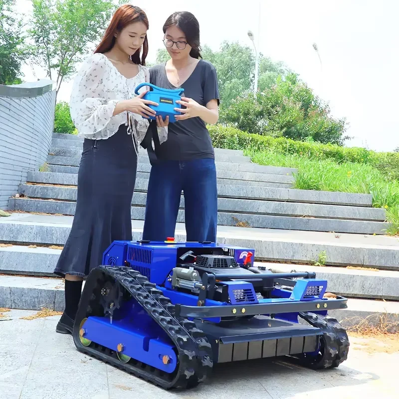 2026 CE High Quality AWY-550 Remote Control Lawn Mower for Common Lawn