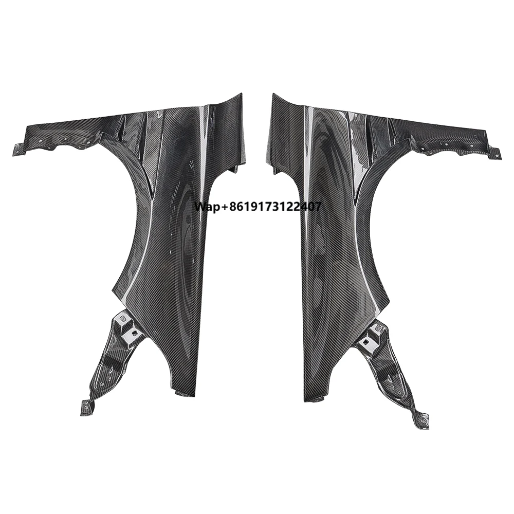 

HC Style Carbon Fiber Front Side Fenders for for FL5 TYPE-R Hatchback 2022-2023 Customized Size Auto Tuning Styling