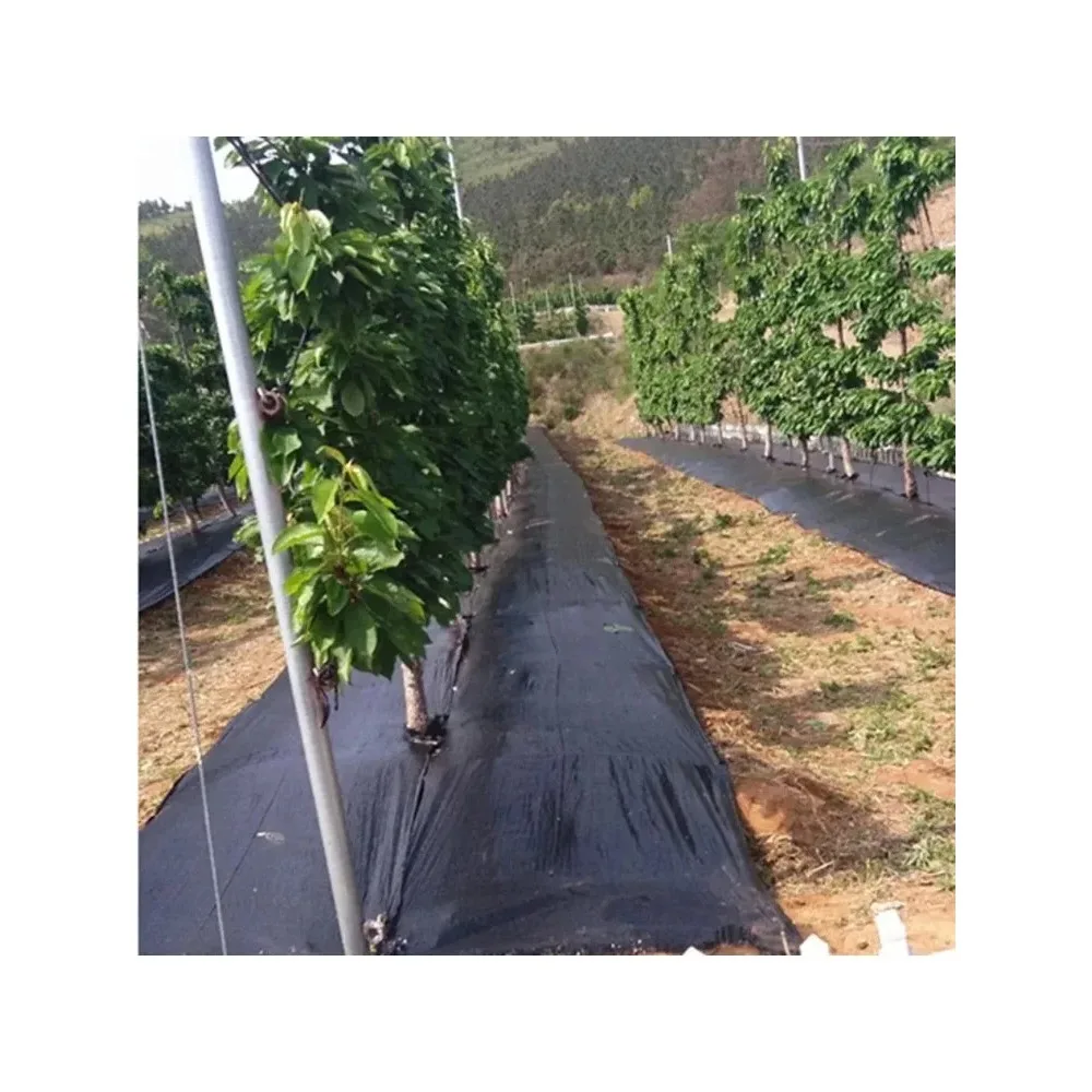 Oriented Weed Barrier Mat Black Plastic Mulch Thicker Orchard Garden Control FabricAgricultural Anti Grass Cloth Farm