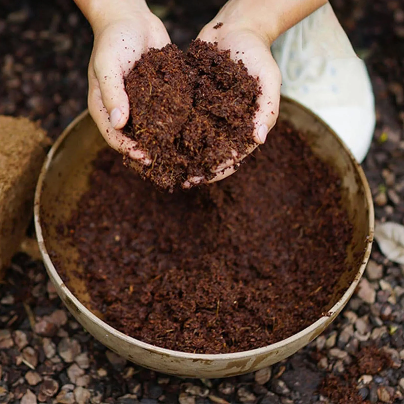 Korpus gałęzi kokosowych Bezglebowa gleba odżywcza Organiczne i przyjazne dla środowiska włókno kokosowe do poprawy przetrwania roślin