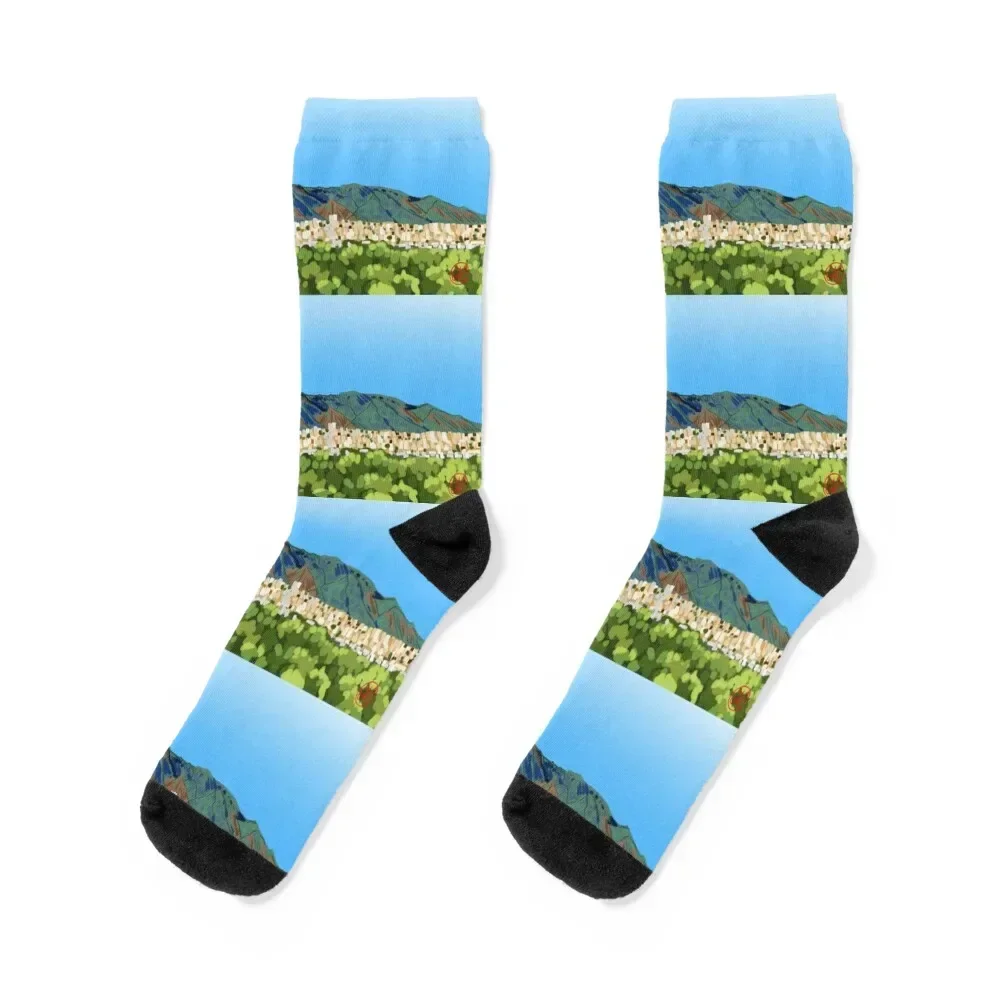 

Majestic Avila mountain Socks man japanese fashion Crossfit short Socks Girl Men's