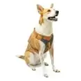 

Journey Air Dog Harness, Vest Harnesses for Dogs