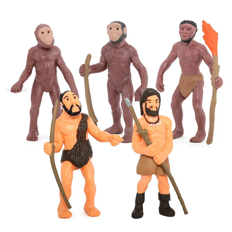 محاكاة نماذج التطور البشري تمثال بدائي دورة النمو شخصيات الحركة البشرية التعليمية للأطفال-Y44A