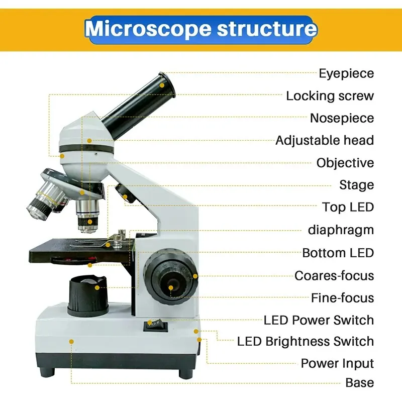 40X-2500X LED Biological Compound Microscope with Microscope Slides Phone Adapte for Kids Students School Lab Home Education