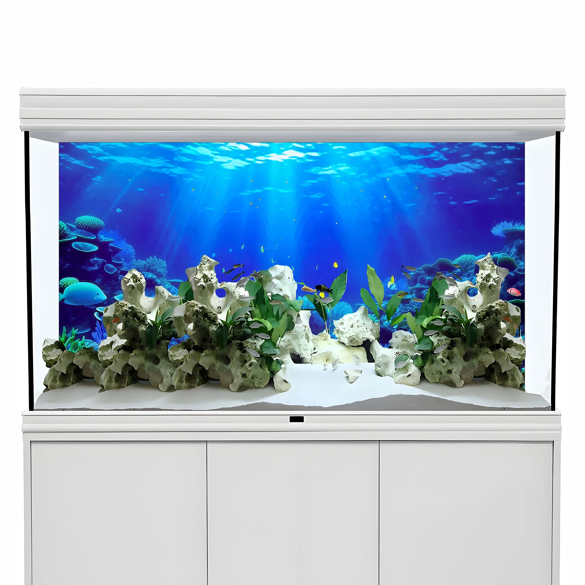 Coral Paradise, Achtergrondafb - Aquarium Fish Paradise recensie en prijs