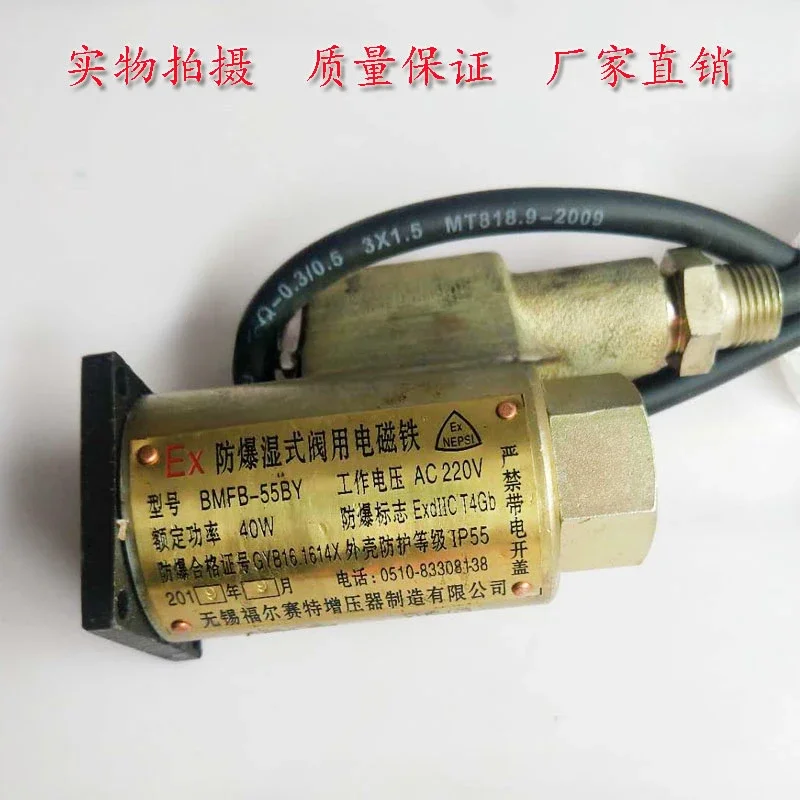 Wuxi Forsett explosion-proof wet valve electromagnet BMFB-40BY BMFB-90GY BMFZ-25BY