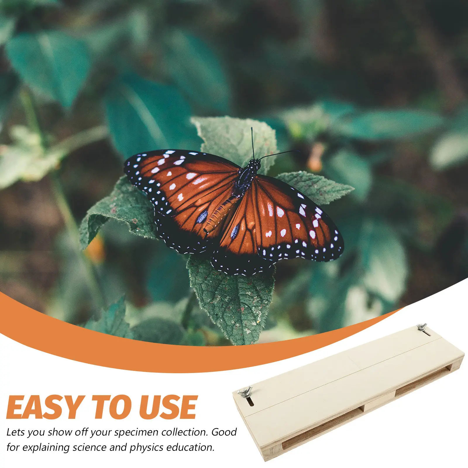 Adjustable Butterfly Wing Spreading Board Durable Insect Specimen Pinning Tool for Science Experiment and Specimen Display view 4