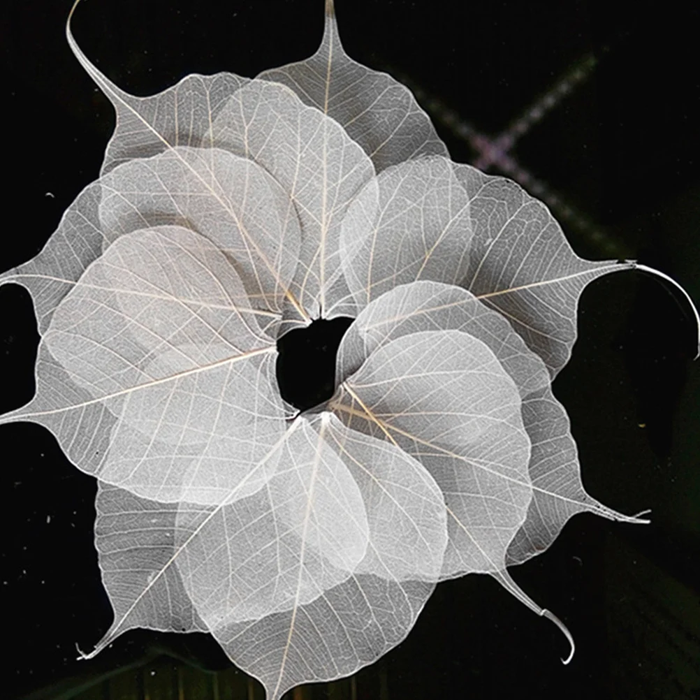 

10Pcs Natural Dried Leaf Vein Bookmarks DIY Scrapbook Decoration Handmade Accessories for Wedding Gifts Party Supplies