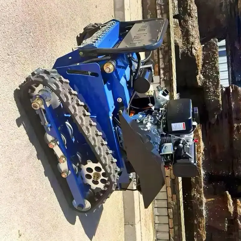 Customized All-Terr… - image