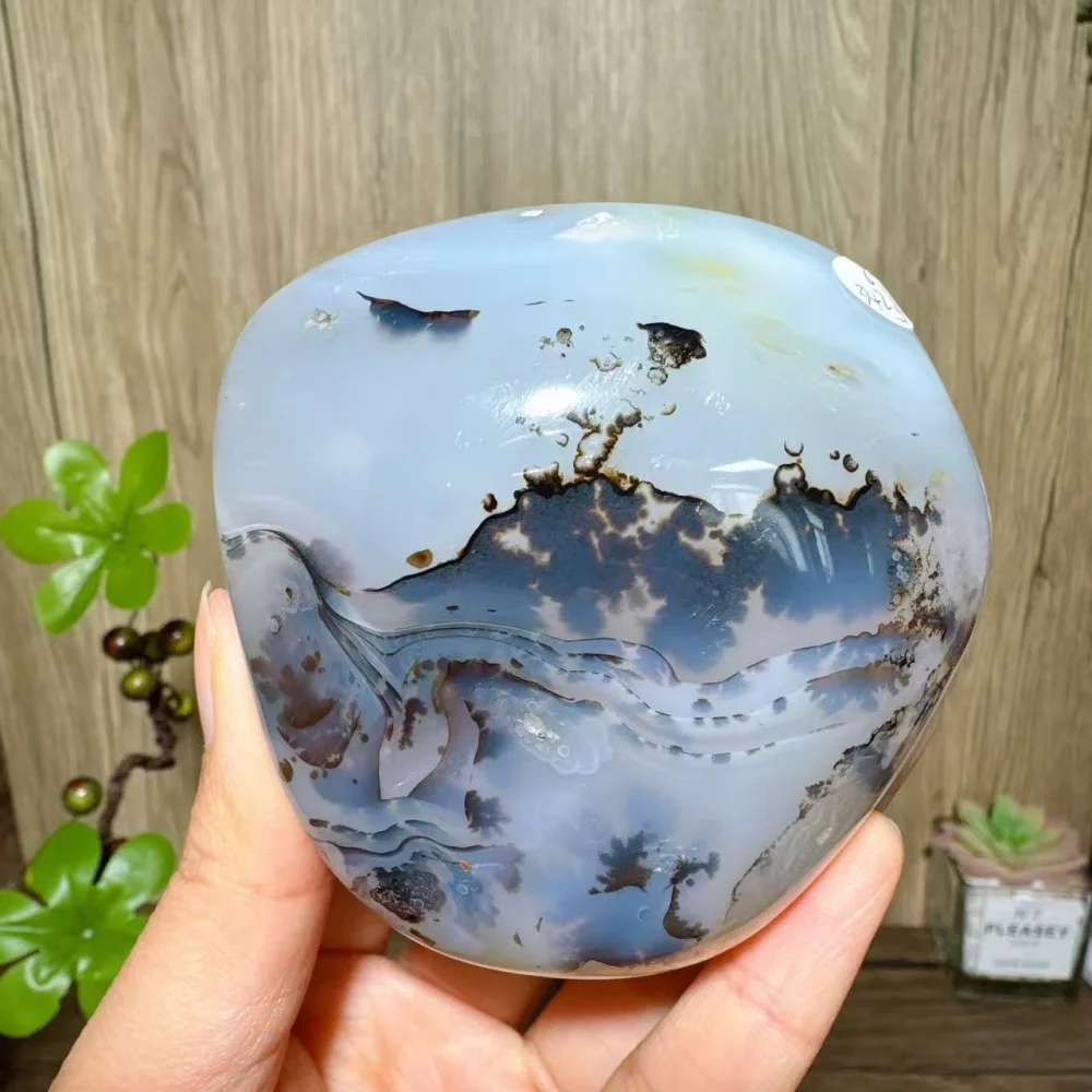 Unique Natural Dendrite Moss Agate Palm Stone Healing Crystal Reiki Energy Home Decoration Gifts Collection